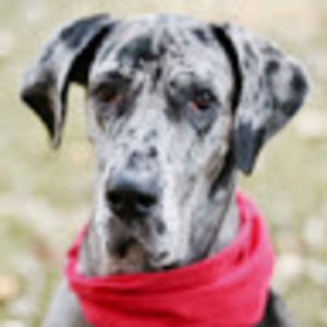 Meet your Posher, Jaimie